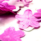 Scented Bath Confetti